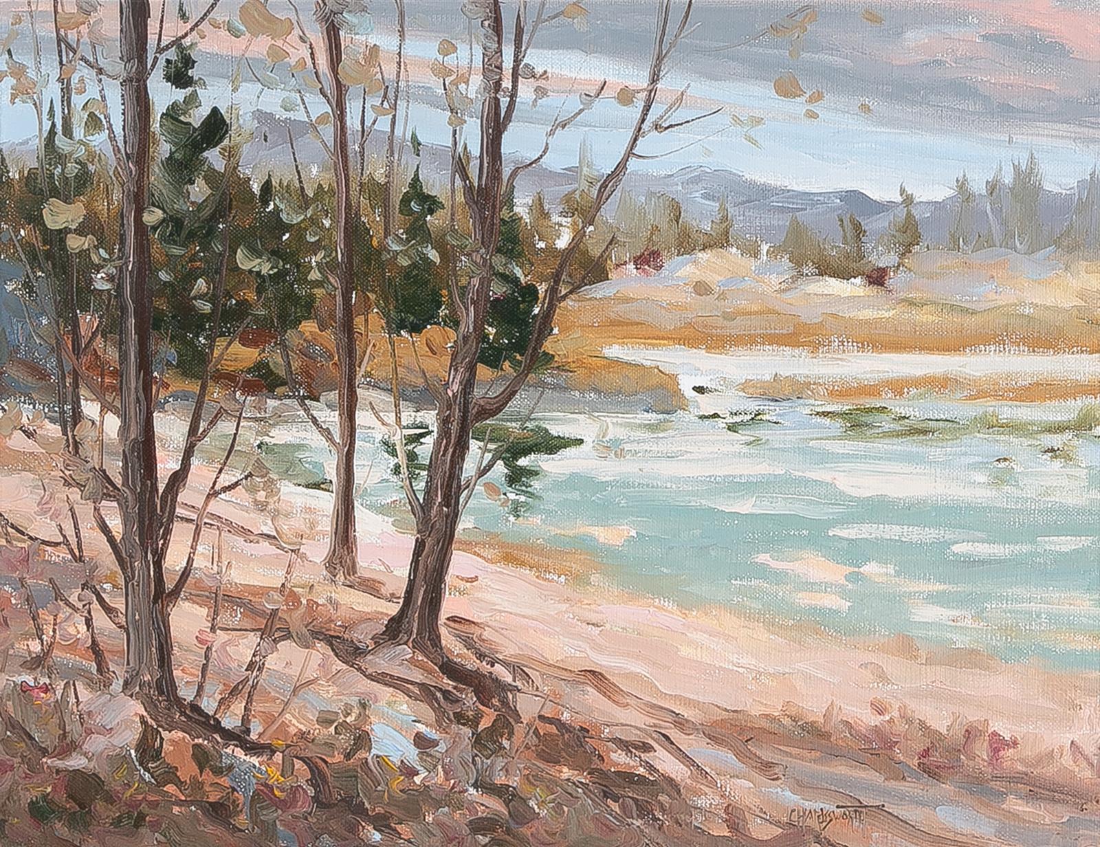 Rod Charlesworth (1955) - Autumn Shore
