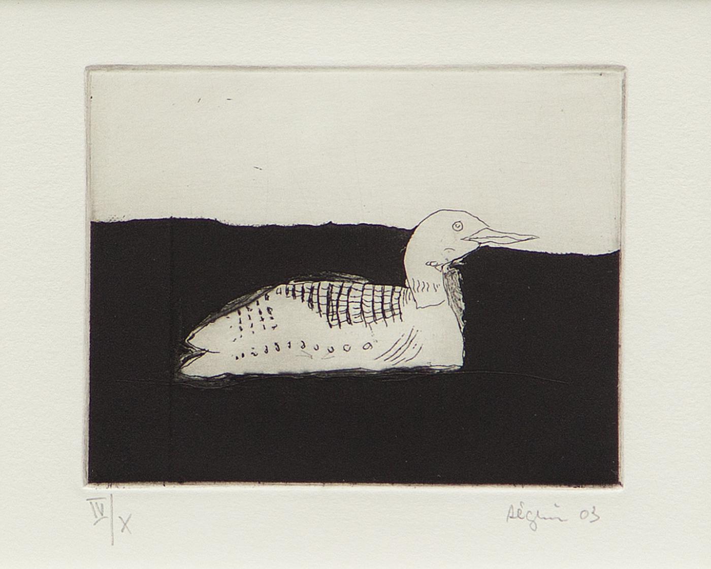 Marc Séguin (1970) - Canard, 2003