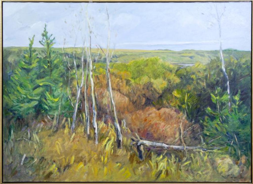 Louise Cook (1943) - Untitled - Prairie and Woods