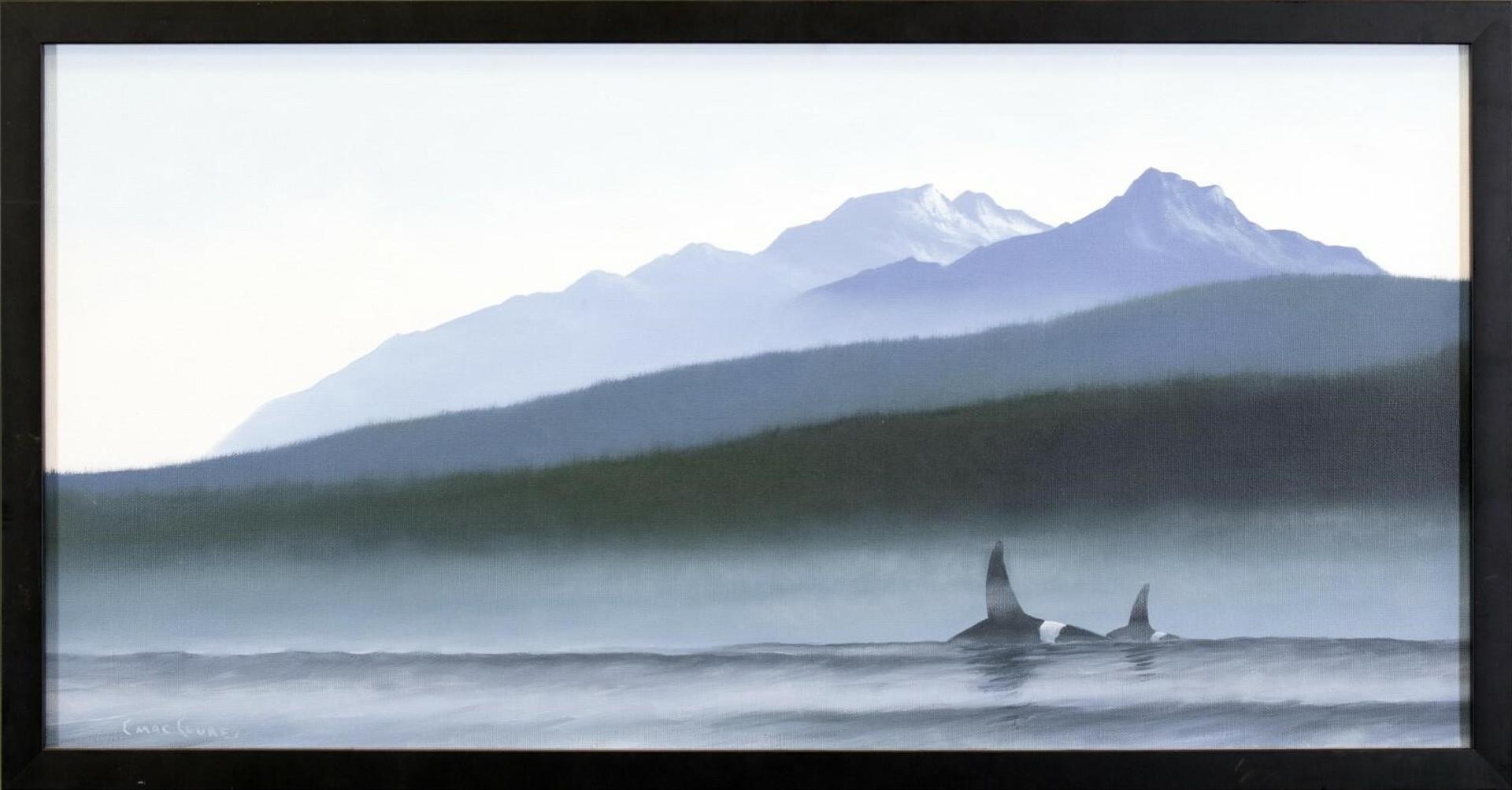 Chris MacClure (1943) - Untitled, Orcas in Georgia Straight