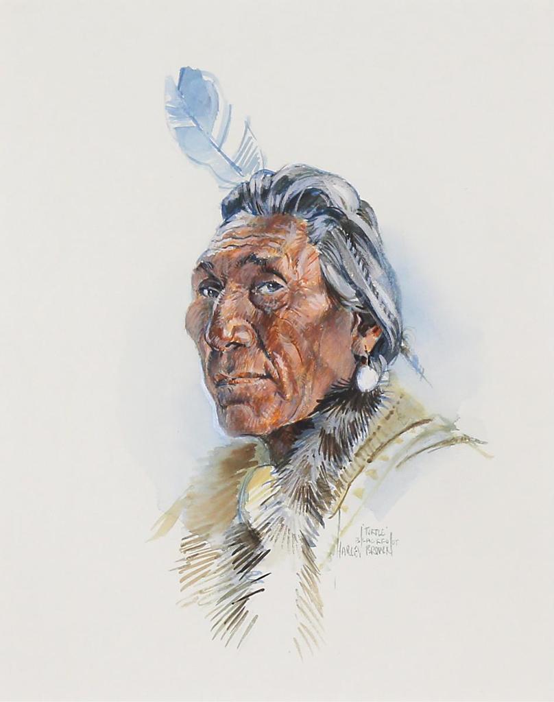 Harley W. Brown (1939) - Turtle, Blackfoot