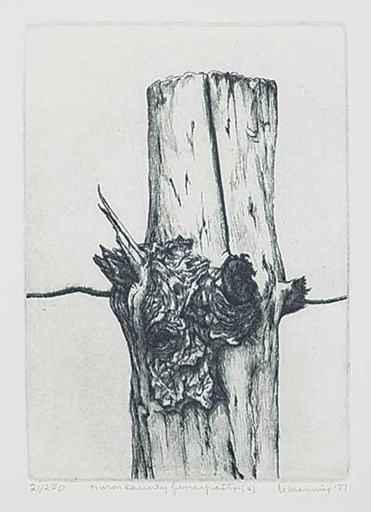 Jo Manning (1923-2022) - Huron Country Fenceposts [4] #21/250