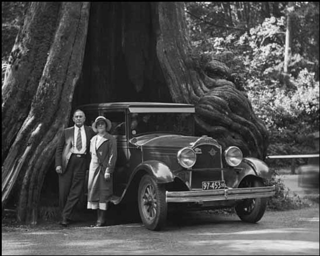 Karl Huber (1898-1985) - Hollow Tree, Stanley Park