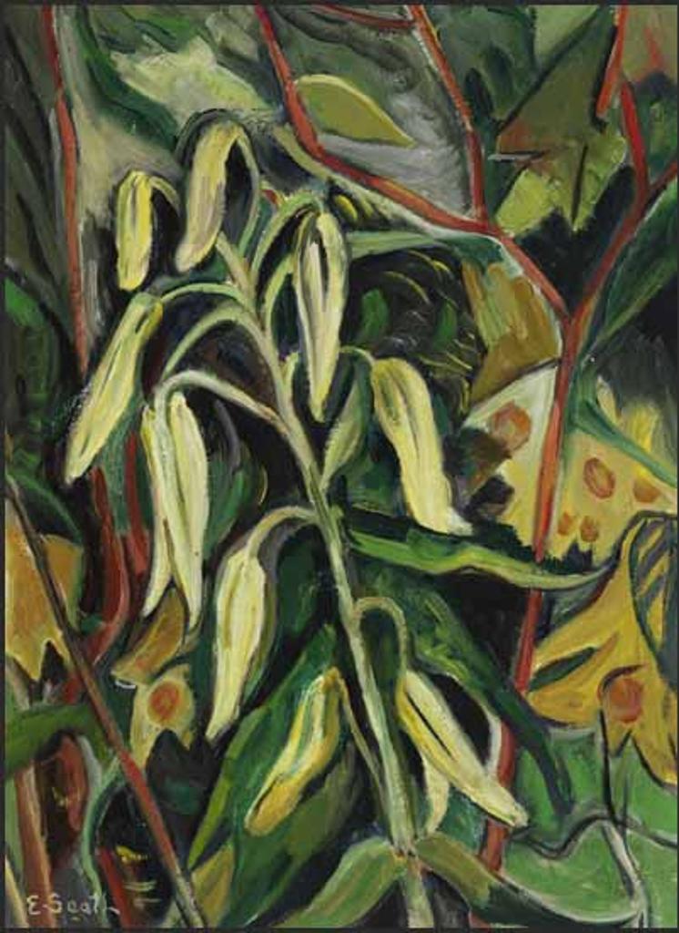 Ethel Seath (1879-1963) - Lily Buds