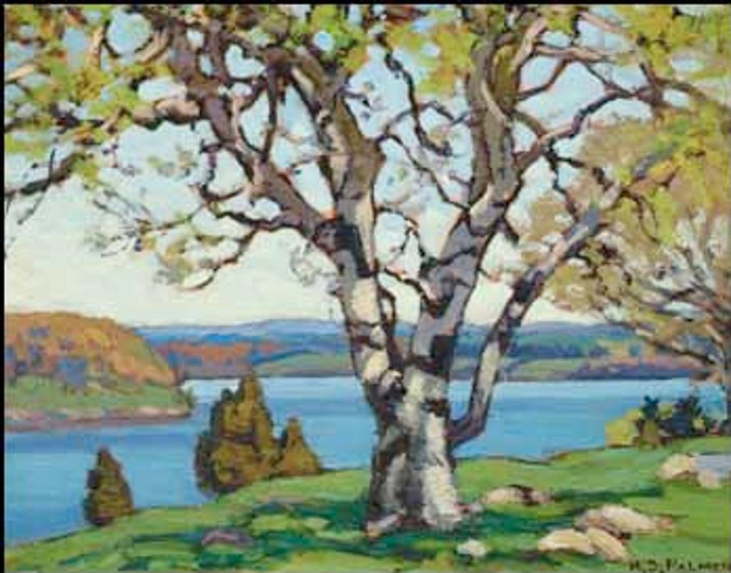 Herbert Sidney Palmer (1881-1970) - The Old Birch Tree, Rice Lake