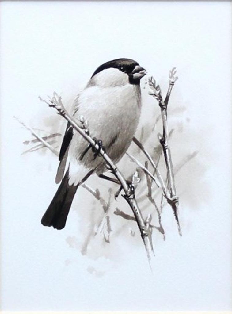 Rodger Mcphail (1953) - Bullfinch