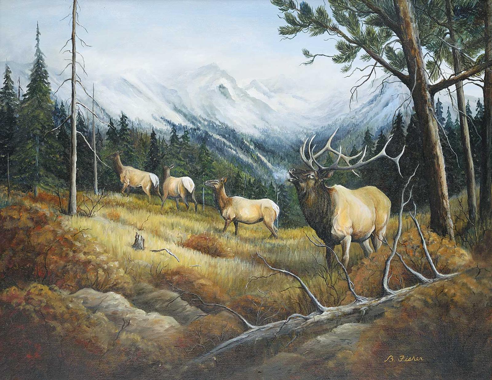 Barbara Fisher - Untitled - Herd of Elk