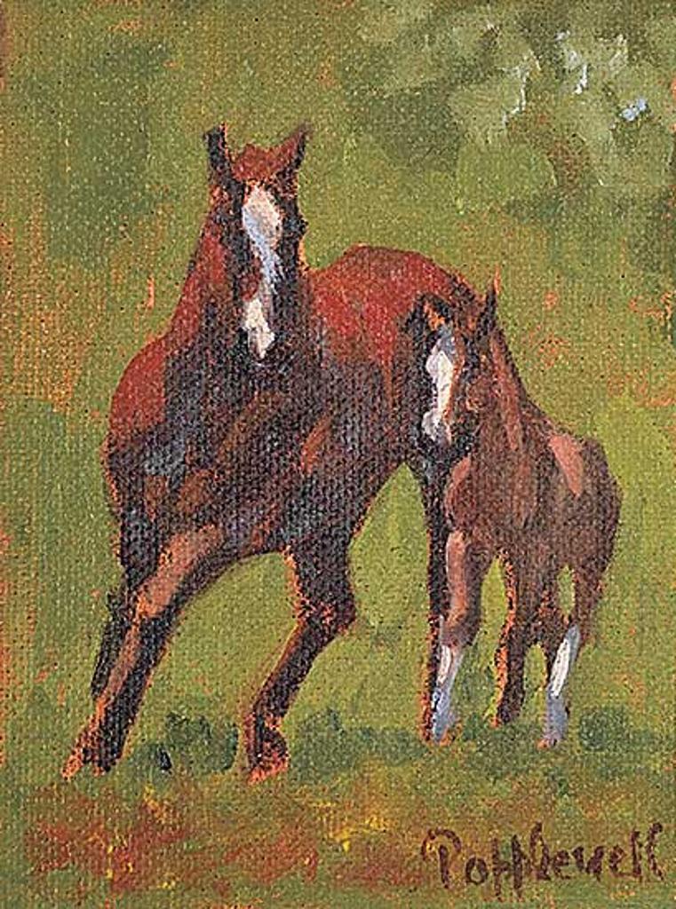 Judie Popplewell - Untitled - Mare and Colt