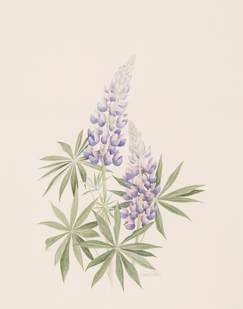 Wendy Gibbs - Blue Lupin