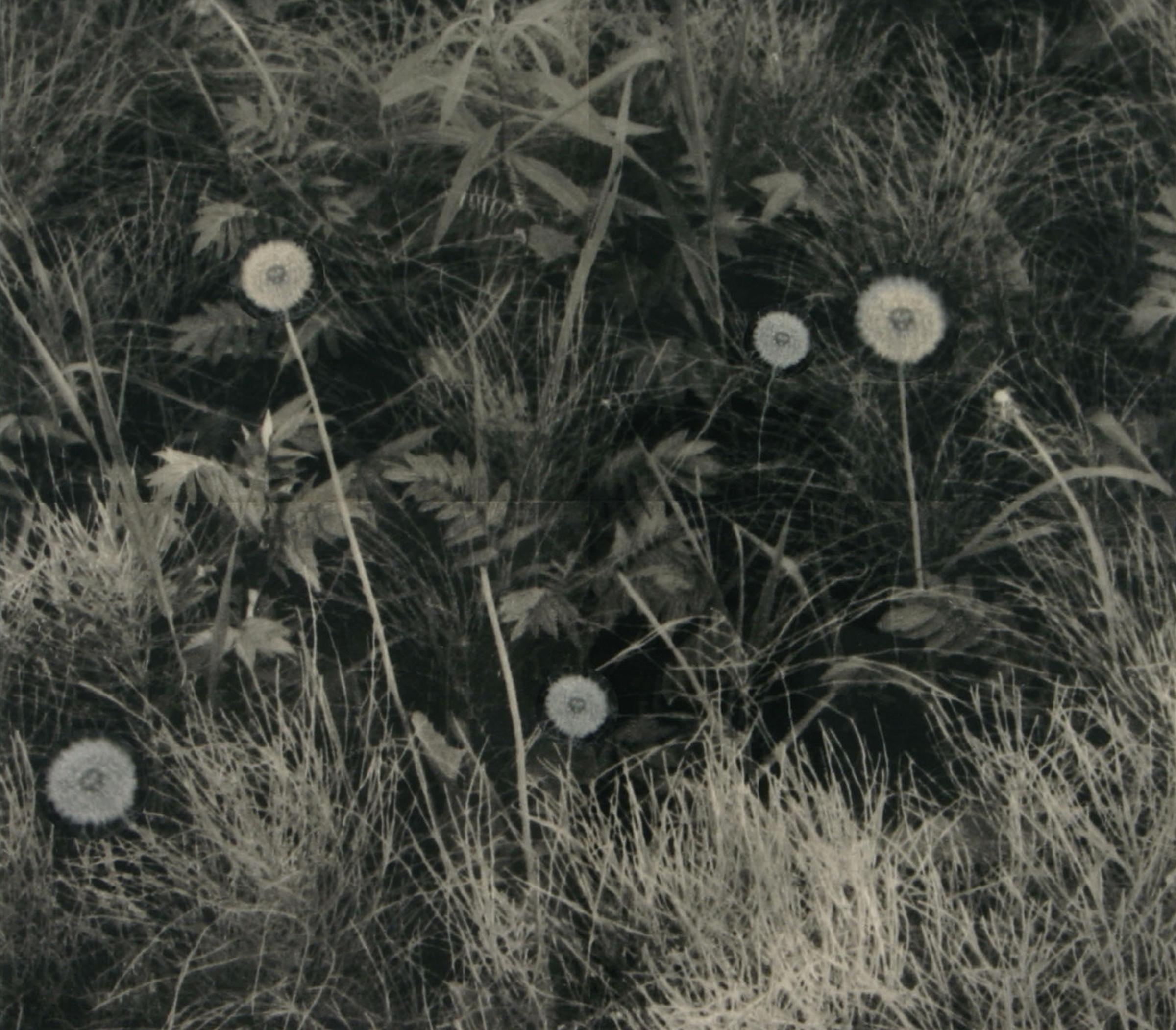 Geneviève Cadieux (1955) - Métis, 2004
