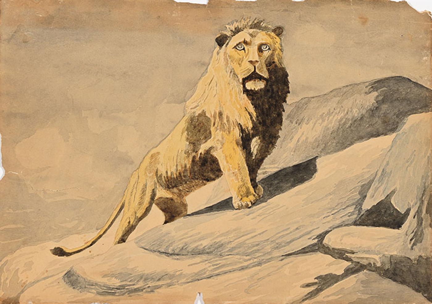 Edward John (E. J.) Hughes (1913-2007) - Mountain Lion