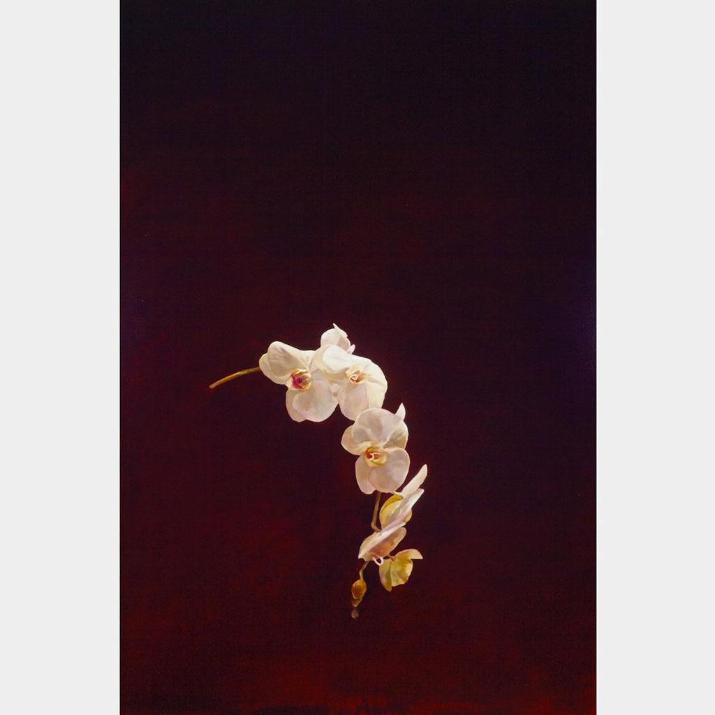 James Michael Lahey (1961) - Orchid