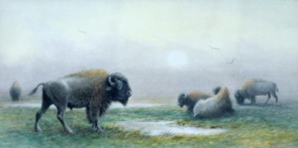 Frederick Arthur Verner (1836-1928) - Buffalo, Misty Morning (Alternately Prairie Morning); 1906