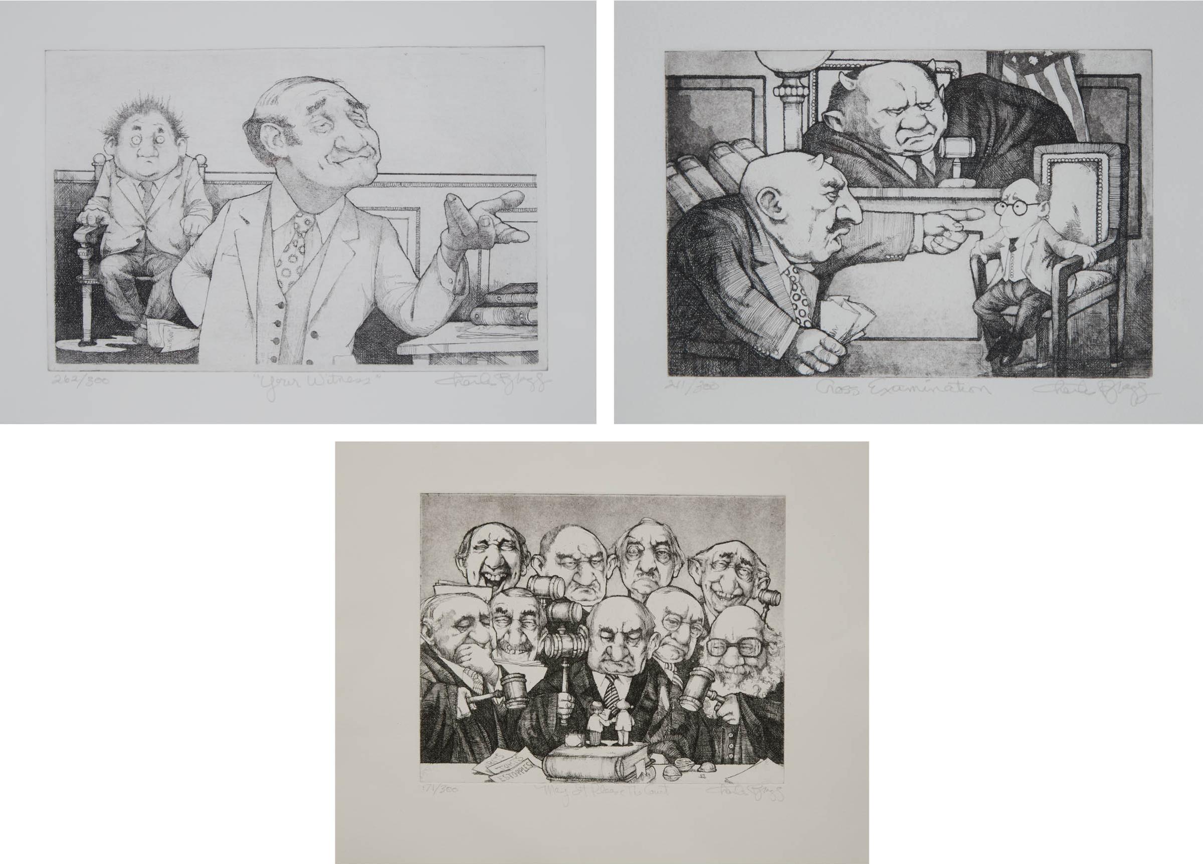 Charles Wilson Bragg (1931-2017) - Your Witness; Cross Examination; May It Please The Court