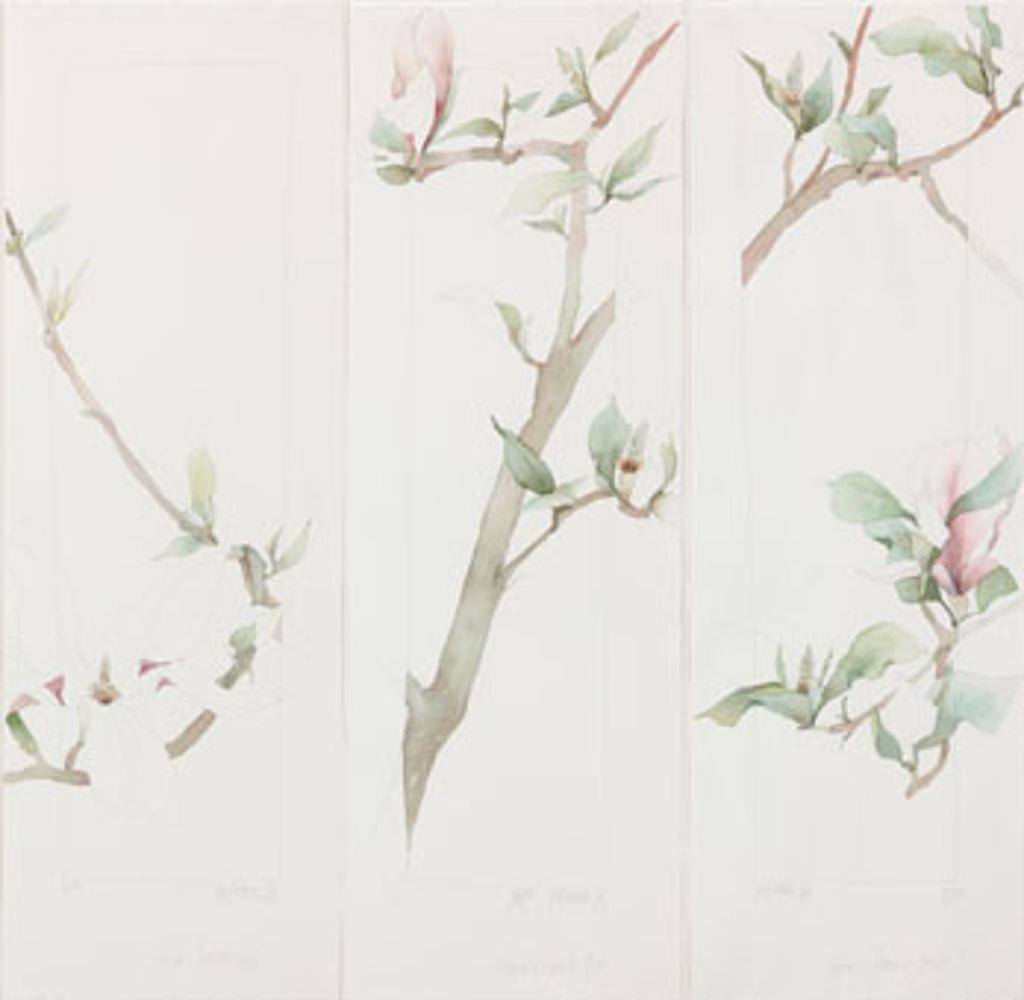 Robert William Sinclair (1939) - Magnolia (03962 /03963 /03964)