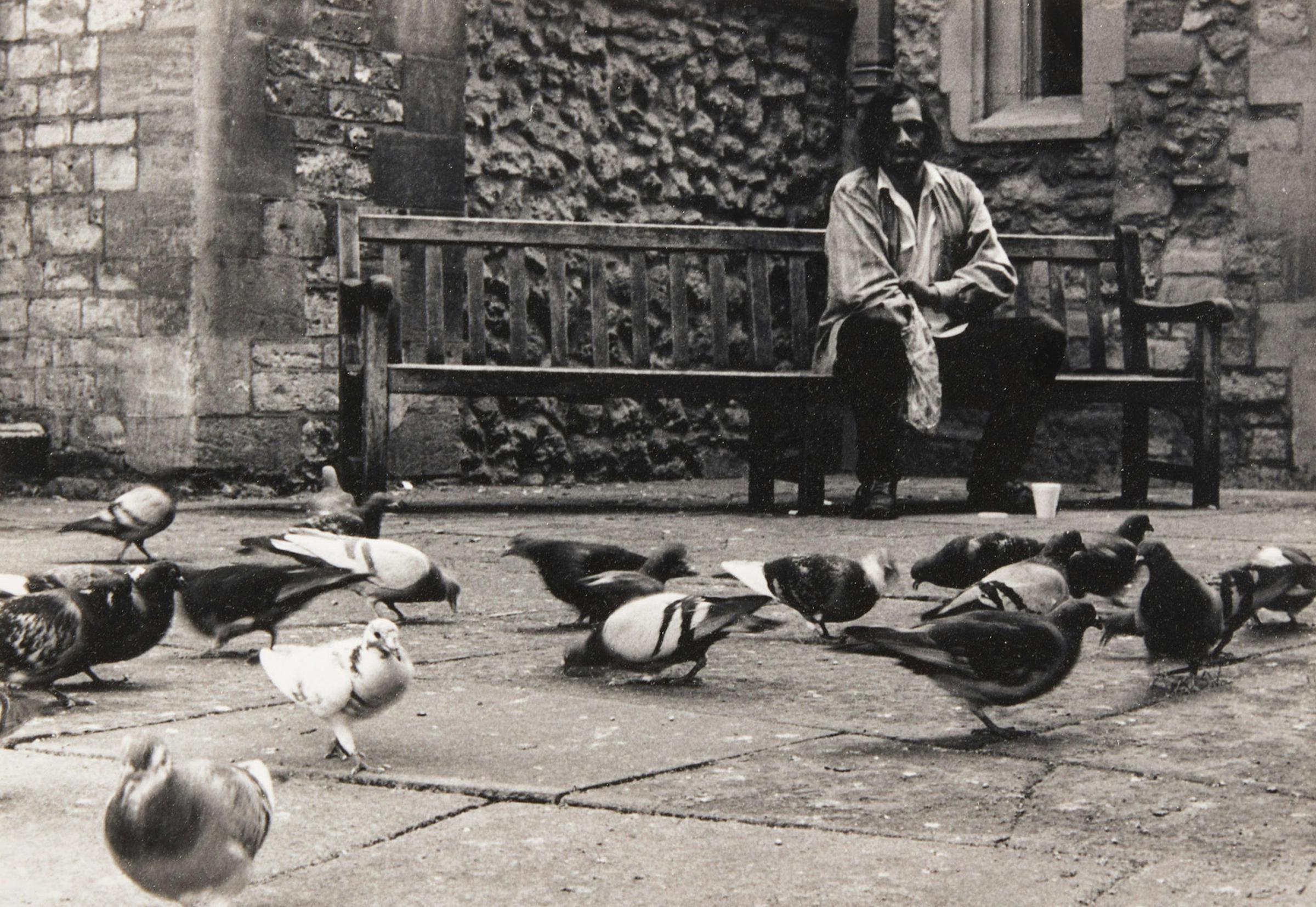 Natalie Munk - Feeding the Pigeons