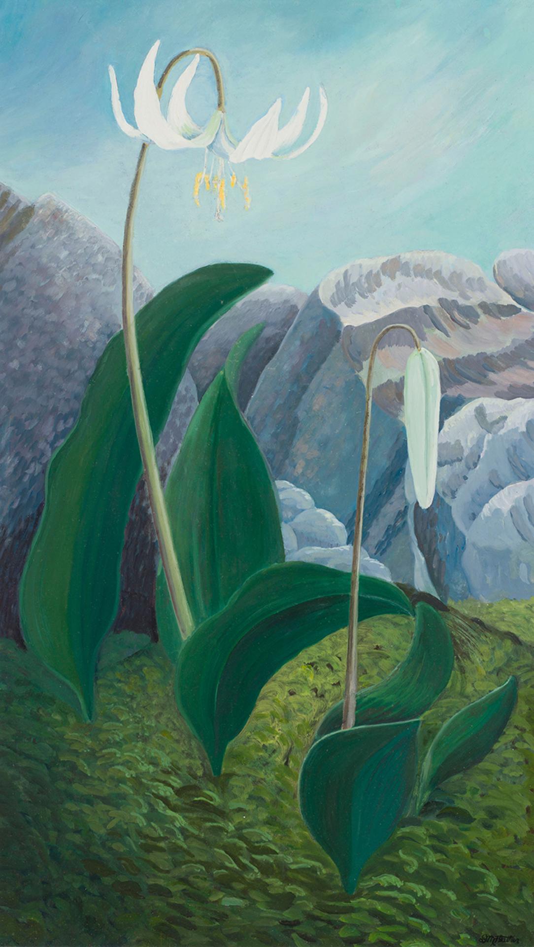 Donald M. Flather (1903-1990) - White Glacier Lily