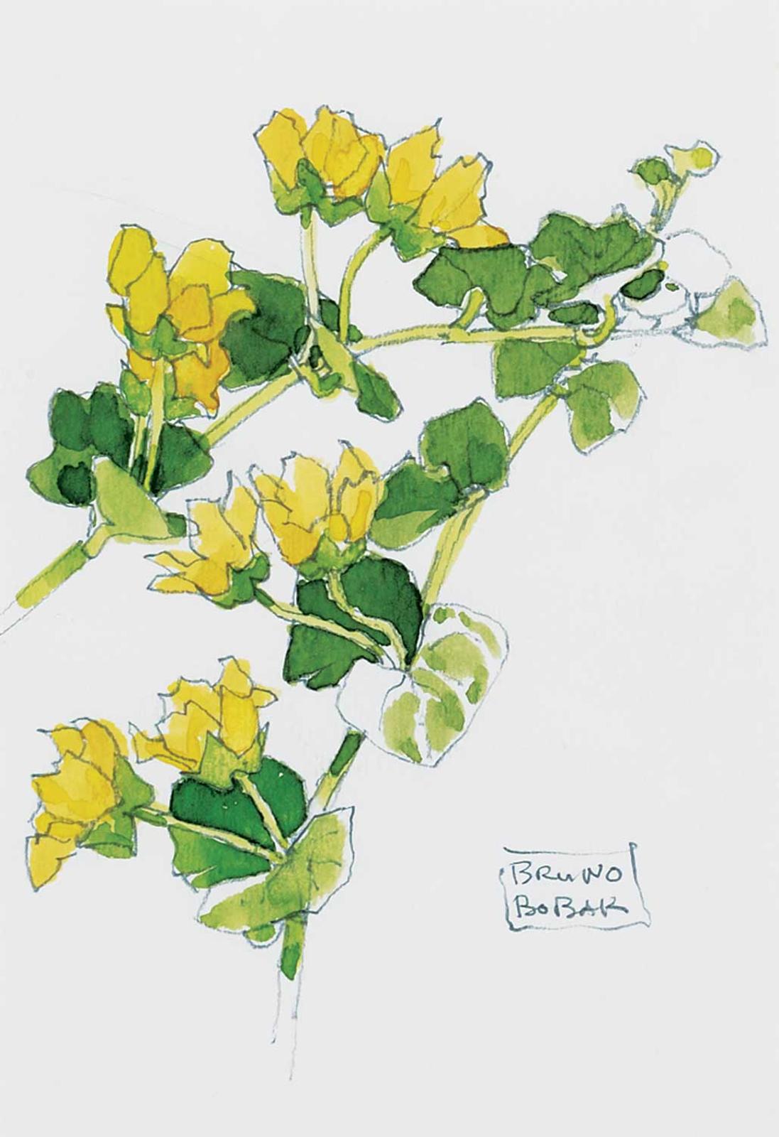 Bruno Joseph Bobak (1923-2012) - Untitled - Flora Study #8