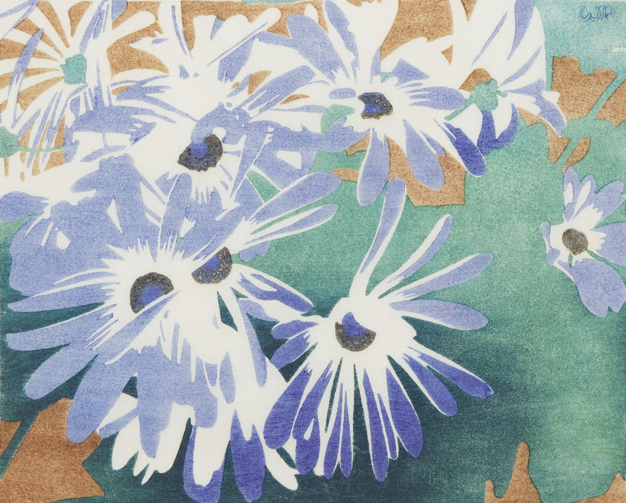 Walter Joseph (W.J.) Phillips (1884-1963) - Cineraria