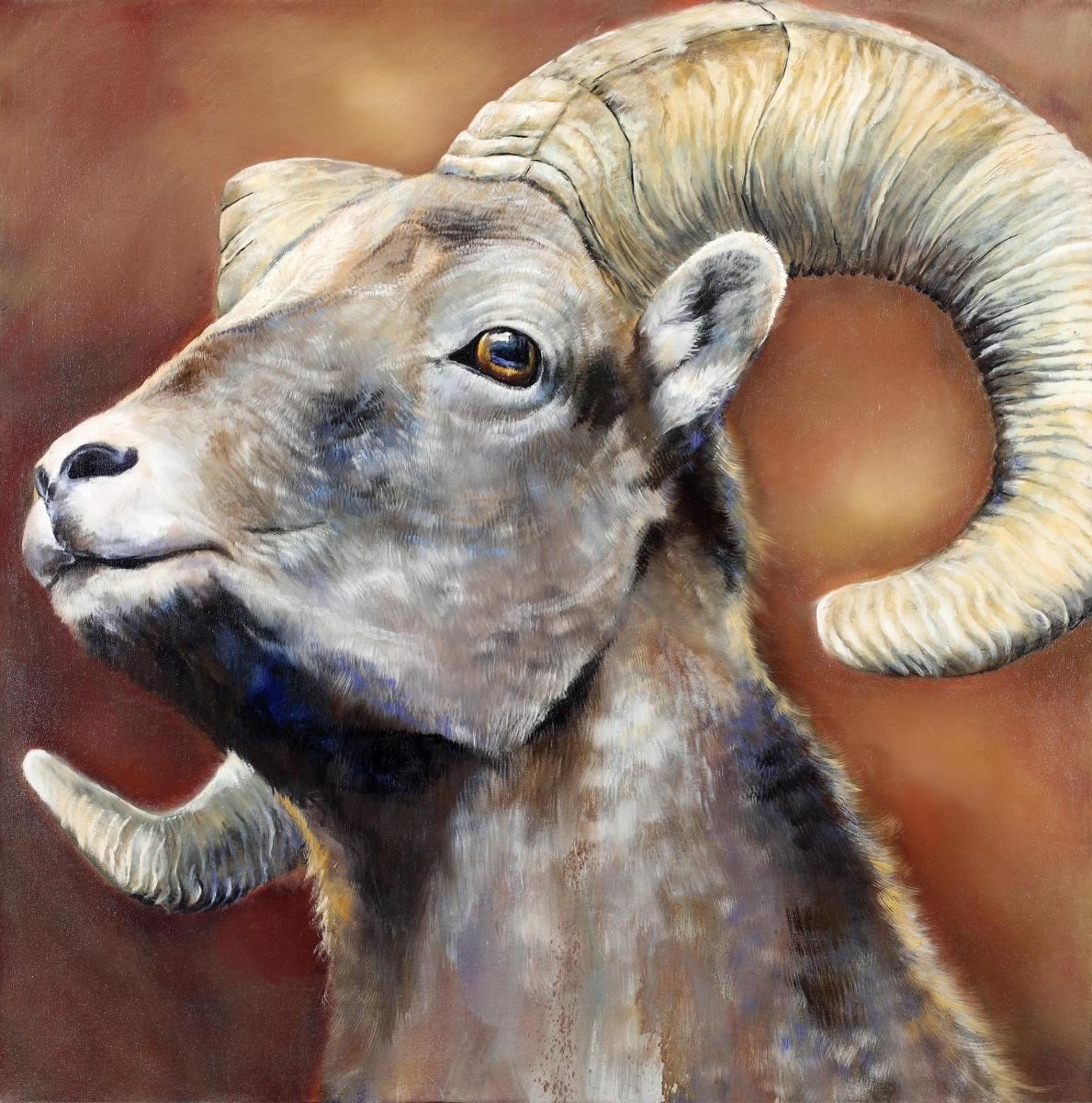 Richard Cole (1968) - Great Horned Sheep; 2015
