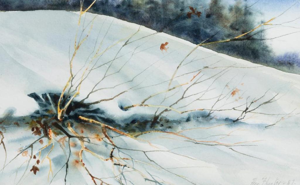 Ann Hunter - Snow Bank