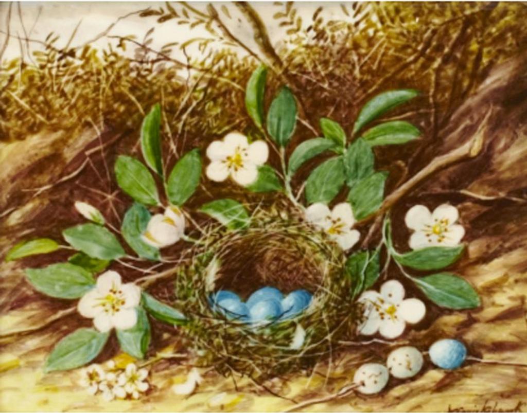 William Cruickshank (1848-1922) - Bird’S Nest With Flowers