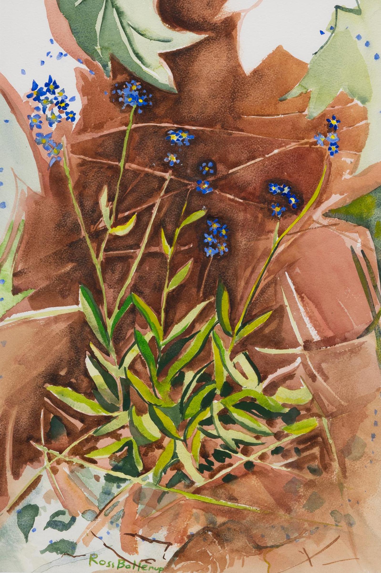 Ross Bollerup (1942) - Forget-Me-Nots