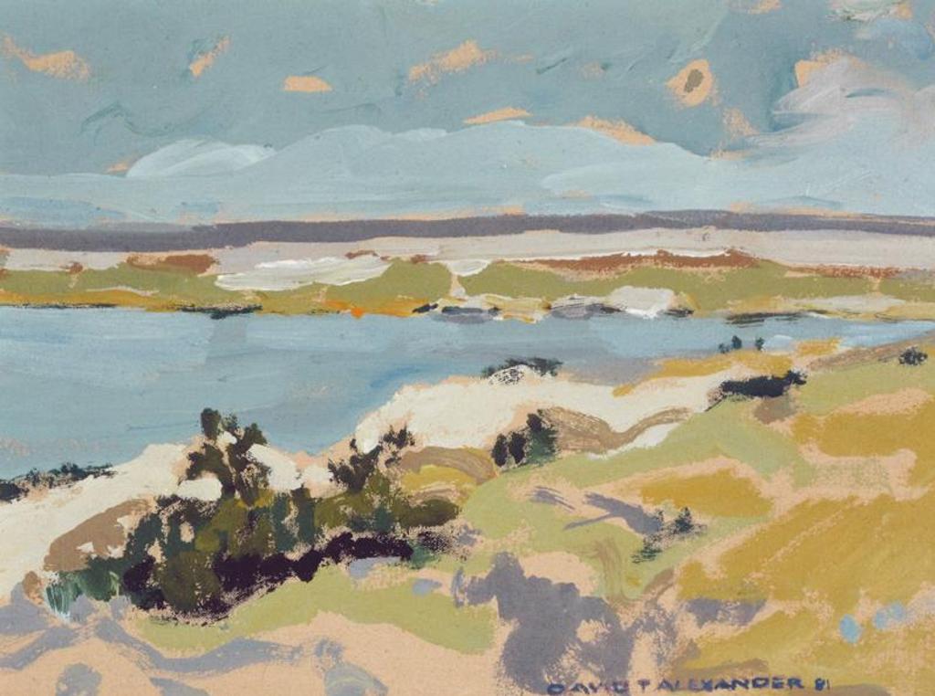 David T. Alexander (1947) - Black Strap Lake; 1981