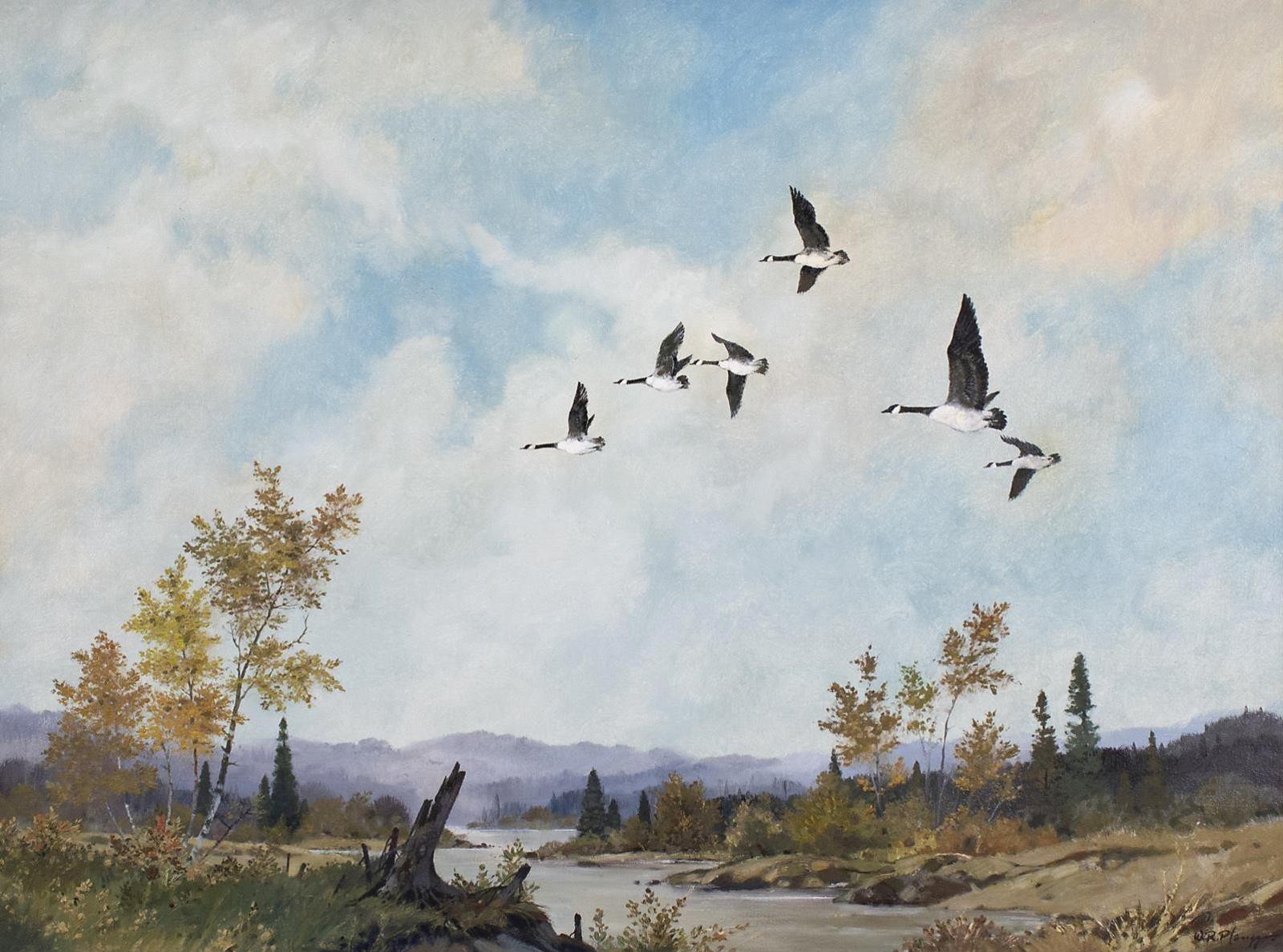 Werner R. Plangg (1934-1994) - Canada Geese