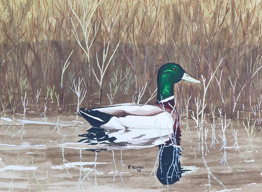 R. Rounds - Untitled - Mallard Duck