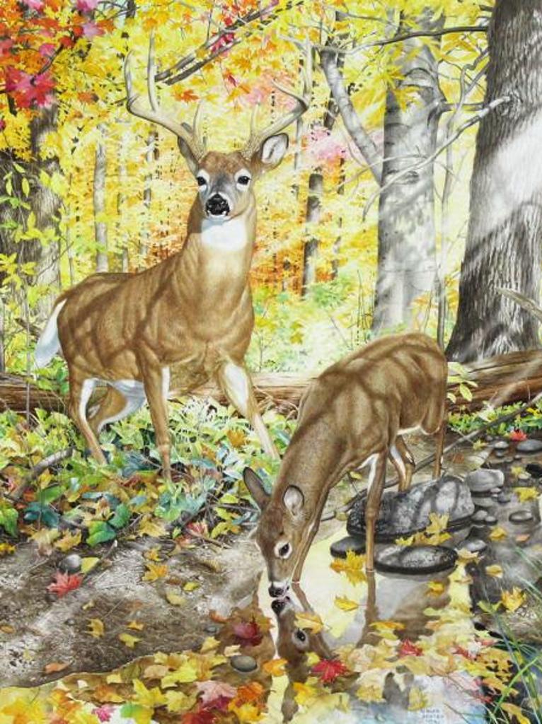 Glen Loates (1945) - White Tailed Deer In The Forest; 1986