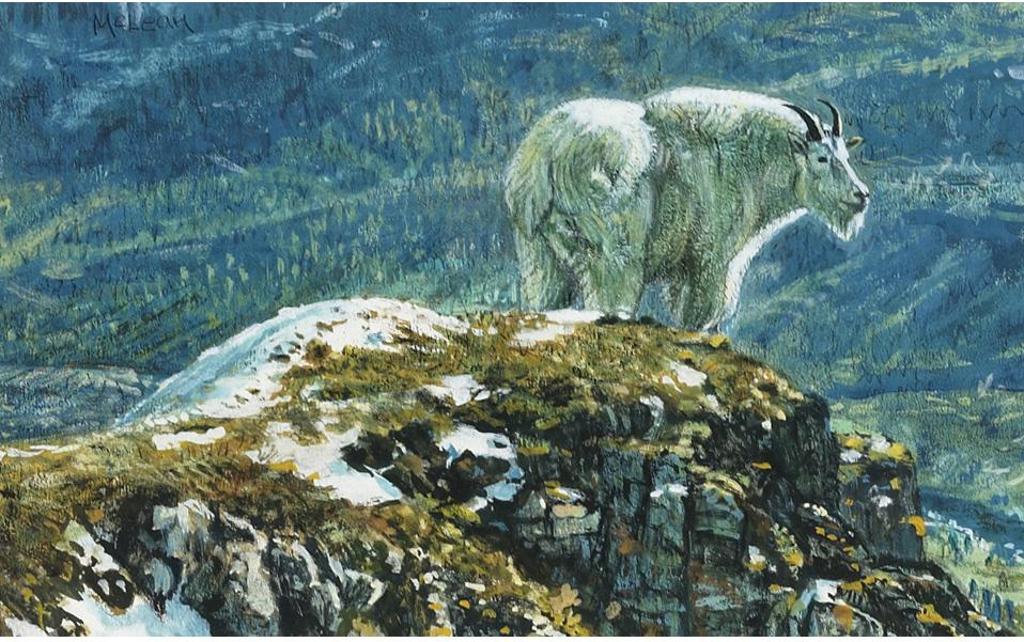 George Elson Mclean (1939) - Mountain Goat