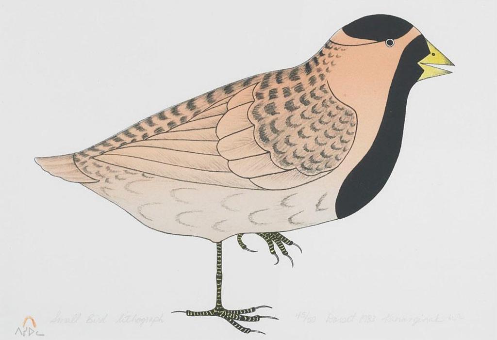 Kananginak Pootoogook (1935-2010) - Small Bird