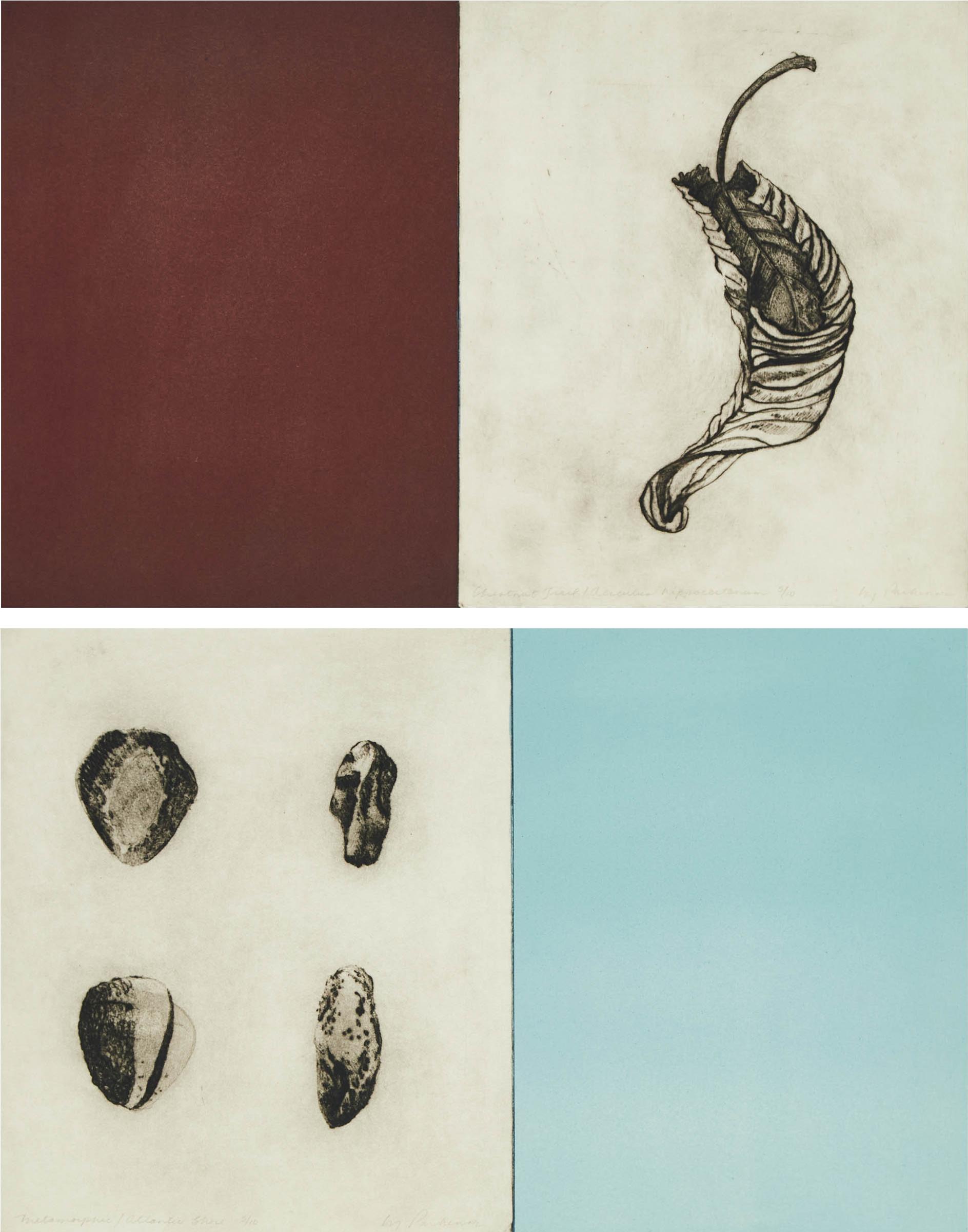 Liz Parkinson - Metamorphic / Atlantic Shore; Chestnut Trail / Aerculua Hippoastanum