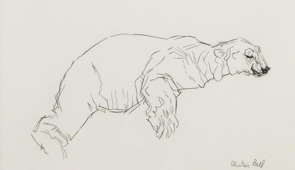 Alistair Macready Bell (1913-1997) - Polar Bear