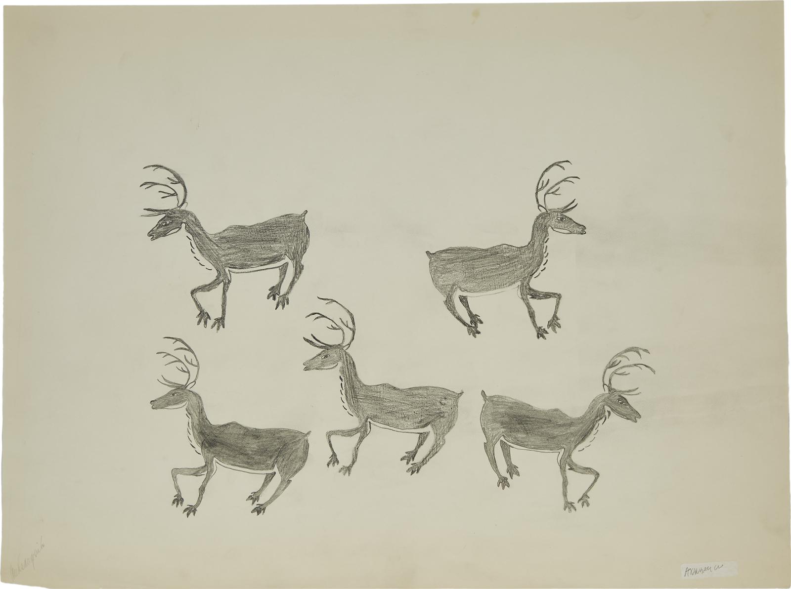 Aqjangajuk (Axangayu) Shaa (1937-2019) - Caribou