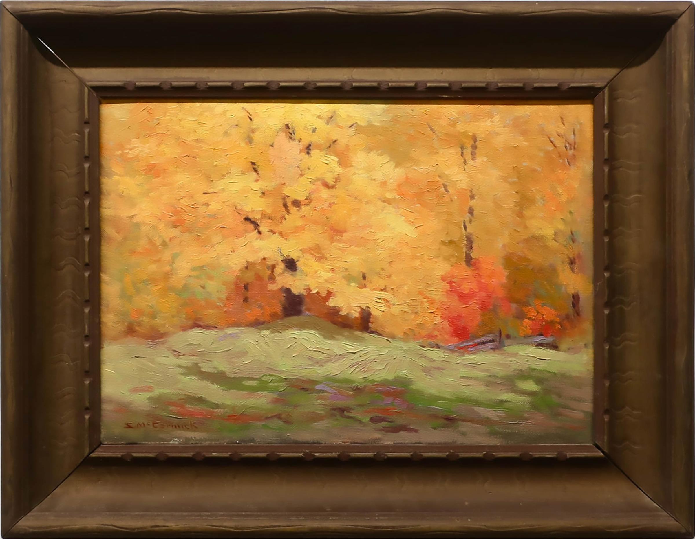 Stuart McCormick - Autumn Sunlight - Edge Of The Woods