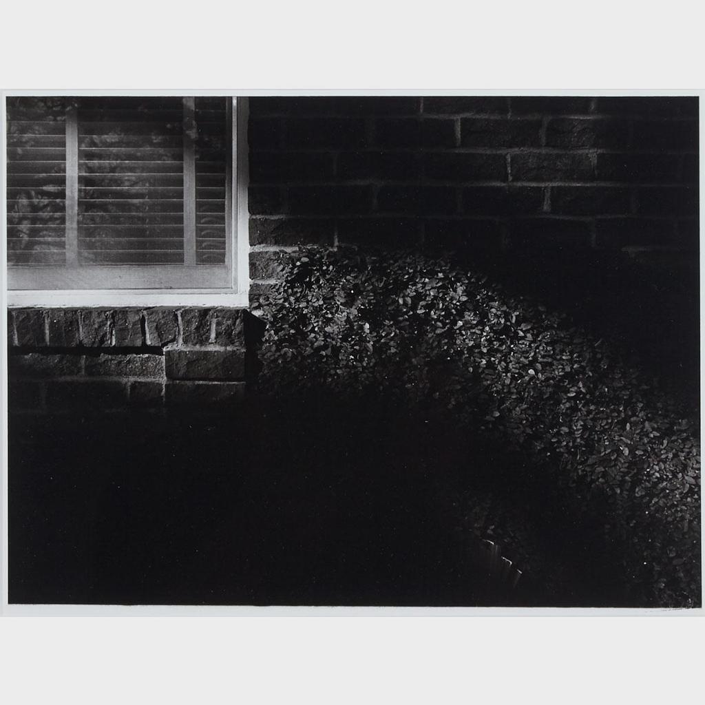 Edward Burtynsky (1955) - Untitled (Hedge And Window)