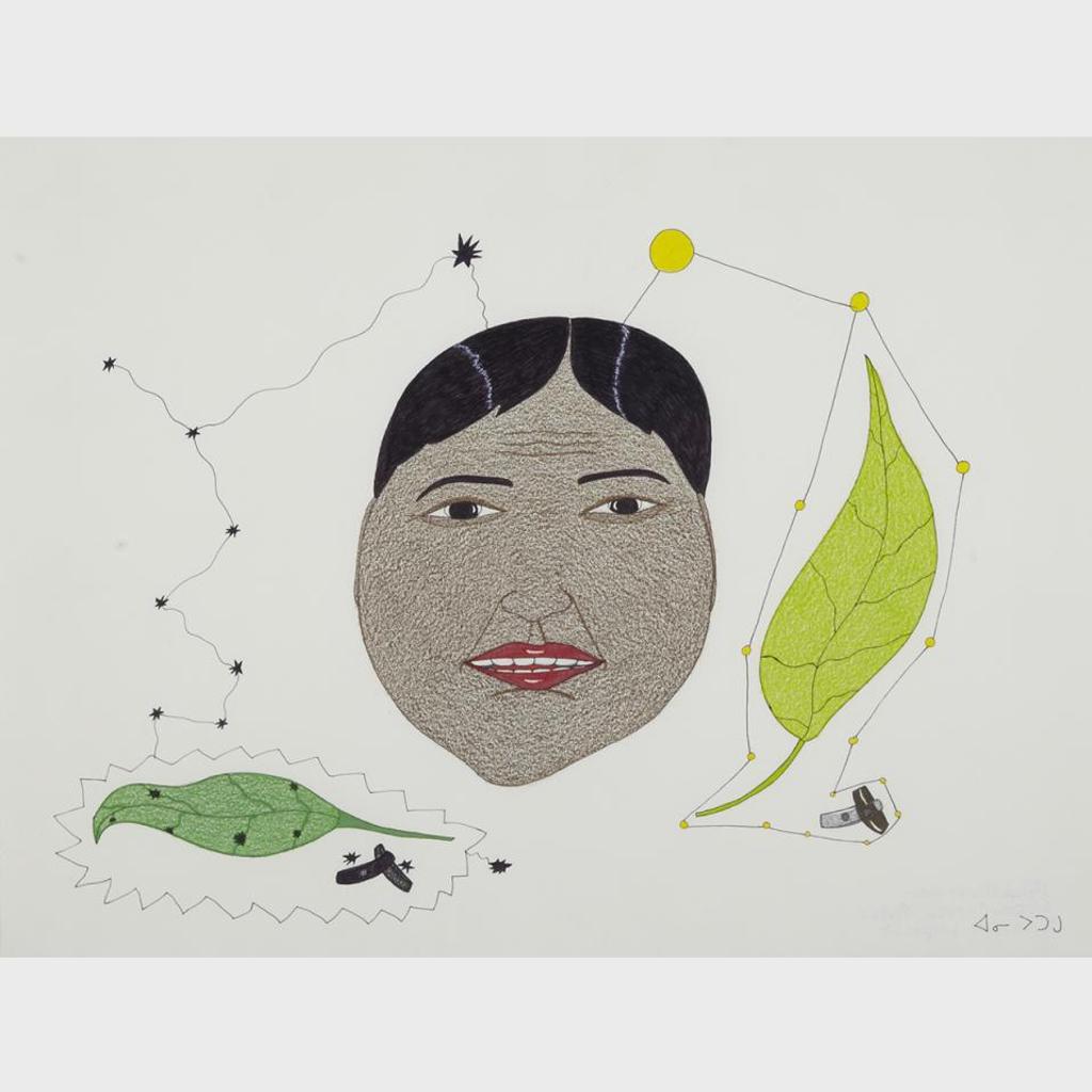 Annie Pootoogook (1969-2016) - Faces With Plants