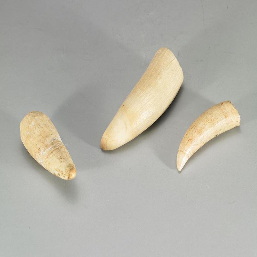 Three Whale Teeth - Ivory;
