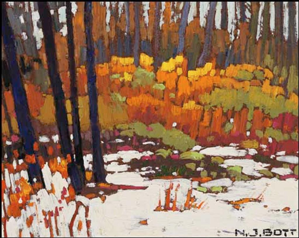 Nicolas Johannes Bott (1944-2021) - November Snow ~ Smithers, BC
