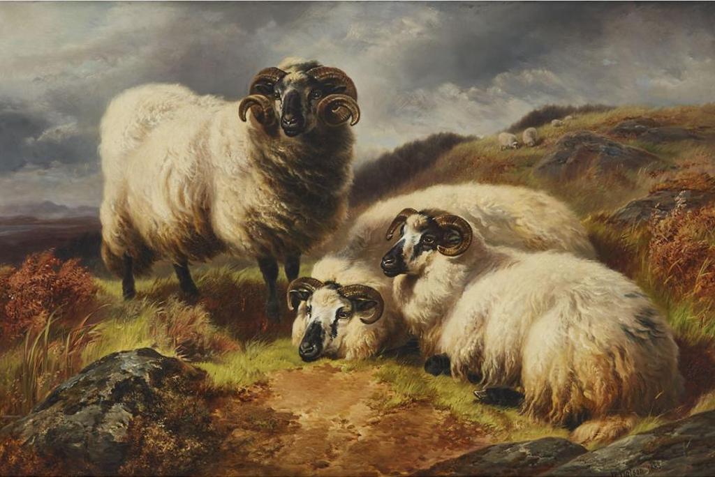 William Ralph Watson (1847-1921) - Long Horn Sheep In A Landscape