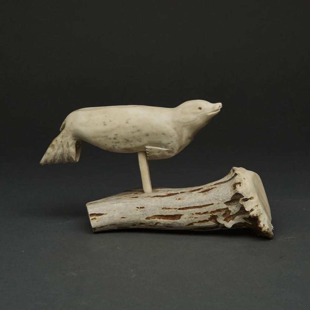 Yvonne Kayolak - Swimming Seal