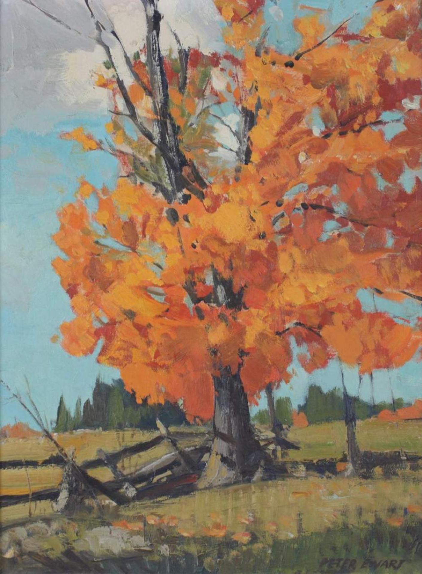 Peter Maxwell Ewart (1918-2001) - Untitled - Fall Colours