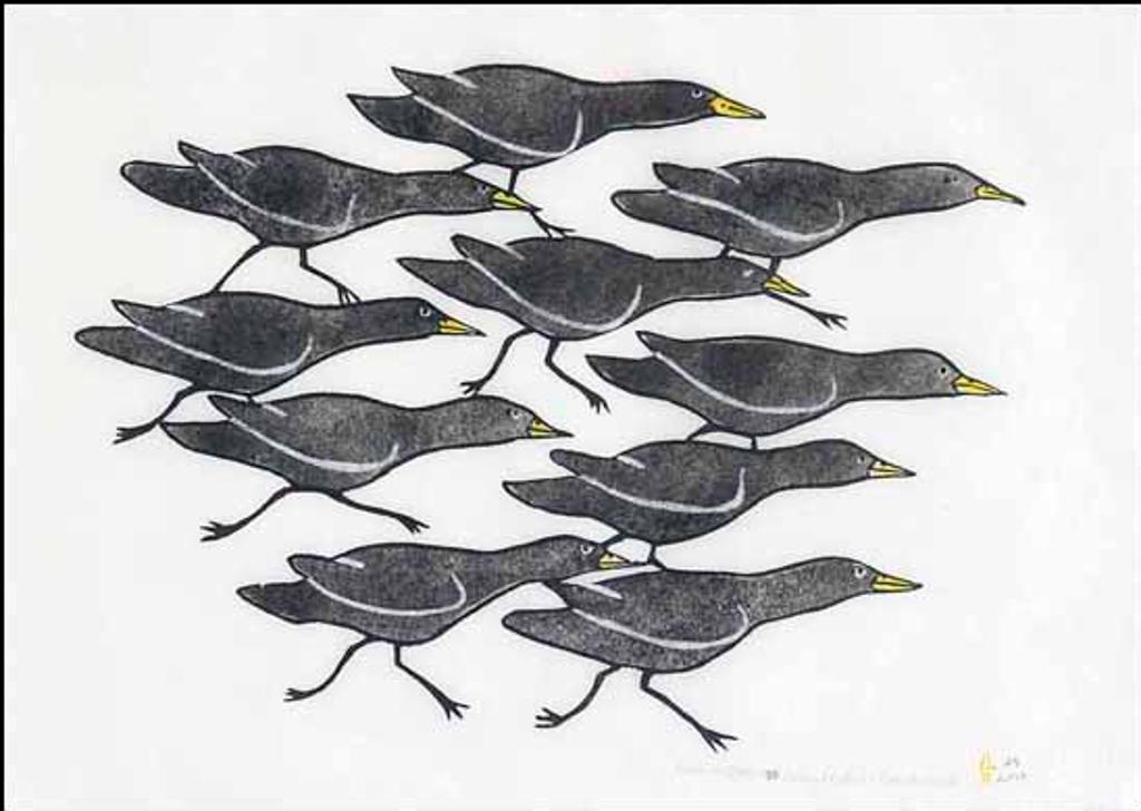 Martha Noah (1943) - Ravens (02914/2013-1625)
