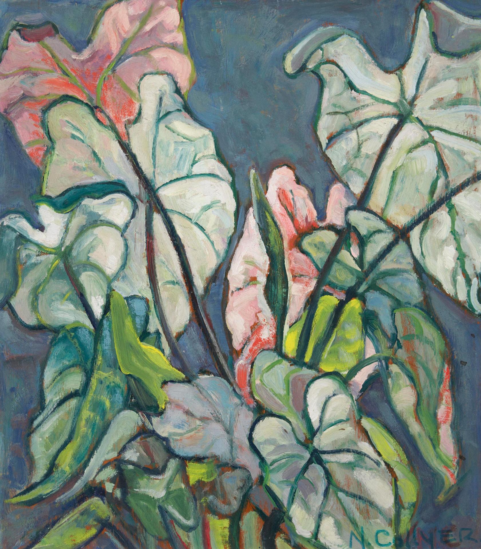 Nora Frances Elisabeth Collyer (1898-1979) - Caladium Leaves (Study of a plowed field verso)