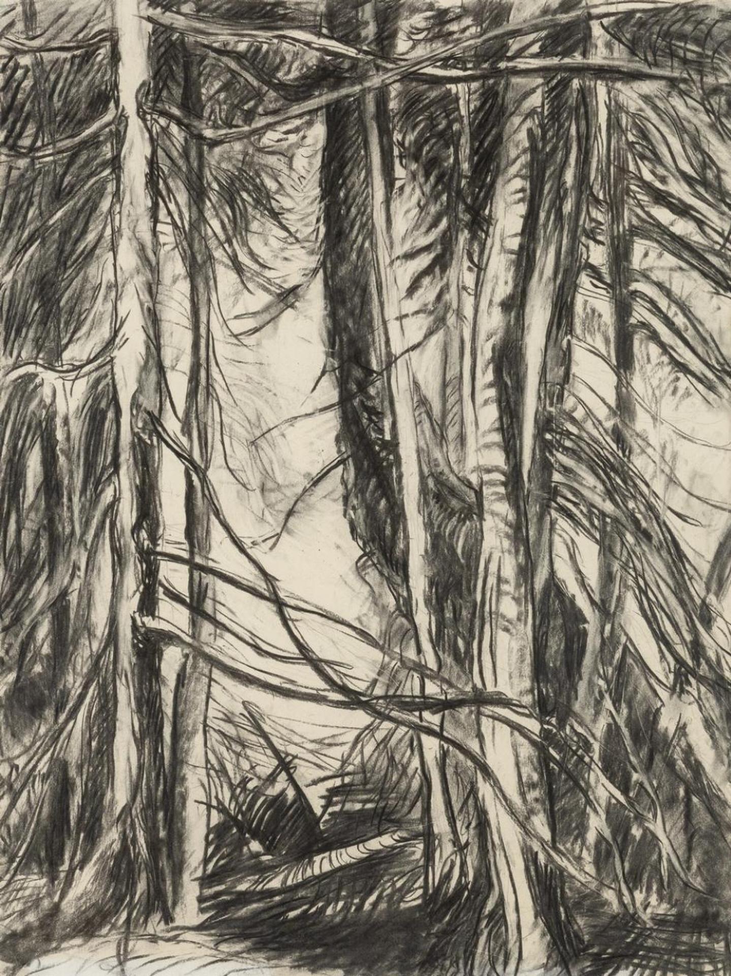 Cameron Ian MacLeod (1958-1983) - Trees-Hornby Island