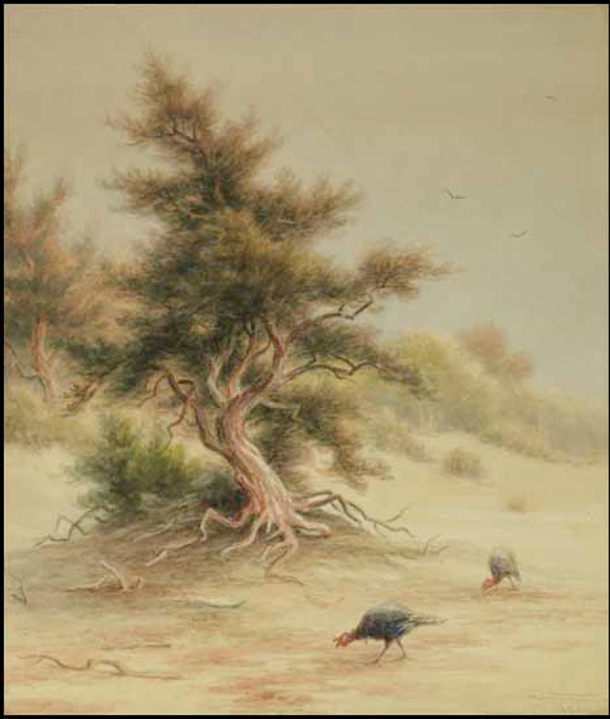 Frederick Arthur Verner (1836-1928) - Wild Turkeys Beneath a Tree