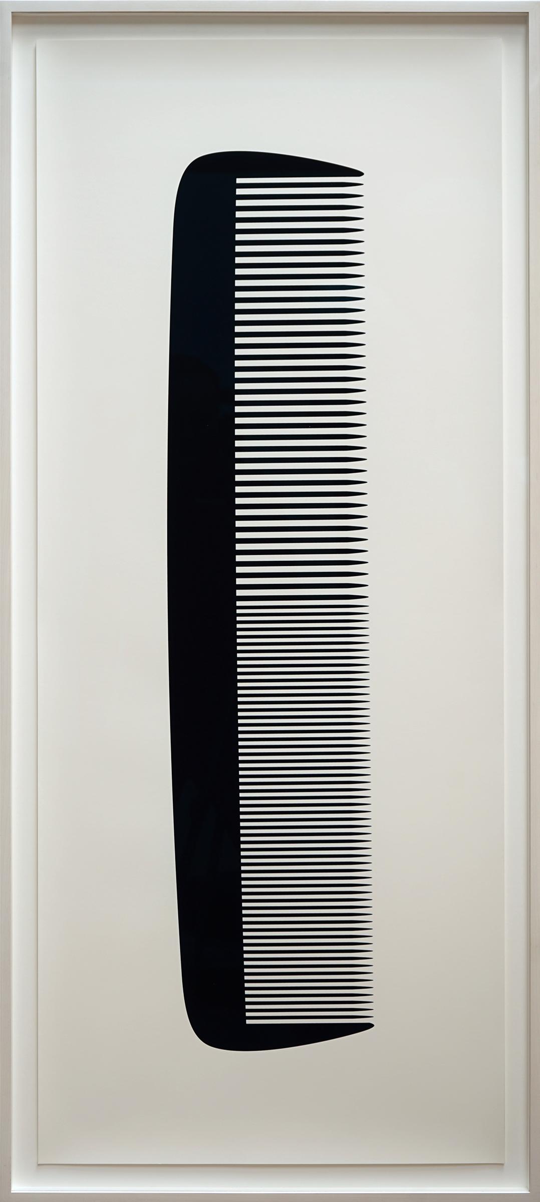 James Carl (1960) - Intellectual Property (Comb), 2015