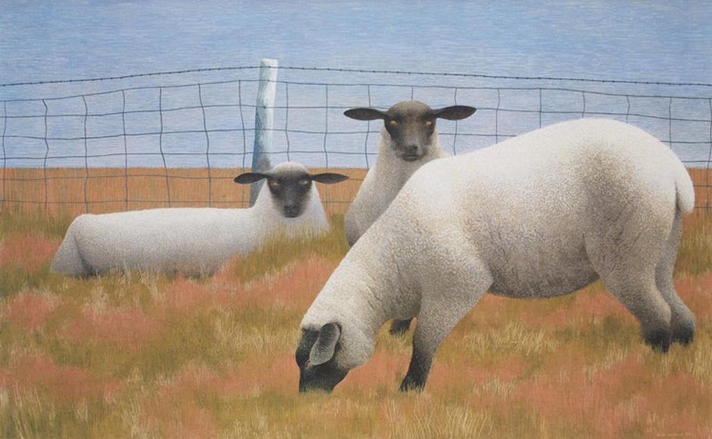 Alexander (Alex) Colville (1920-2013) - Three Sheep
